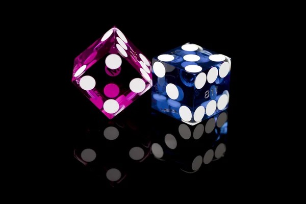 Live dealer tournament leaderboard interface showing real-time rankings